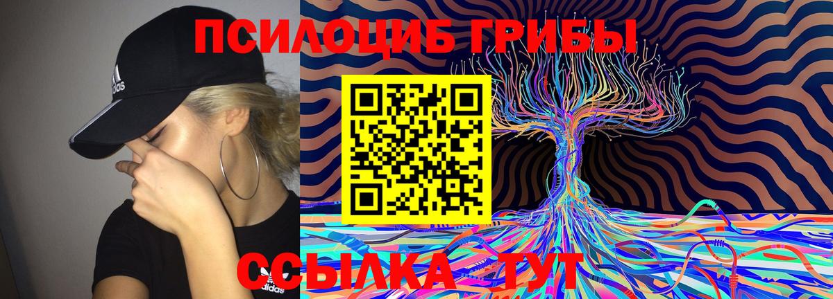 Бердск  Галлюциногенные грибы Psilocybine cubensis  Вход с VPN 