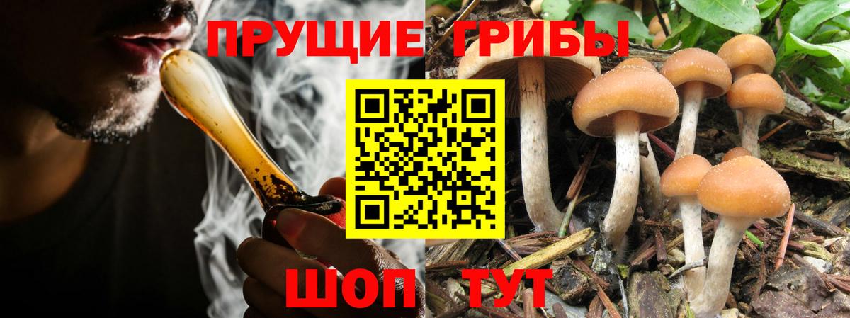 Галлюциногенные грибы мухоморы Бердск
