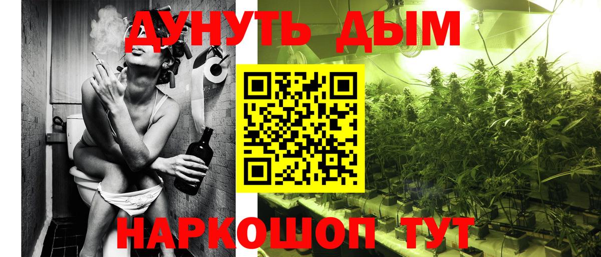 Бердск  Каннабис семена  Вход с VPN  Бошки марихуана планчик 